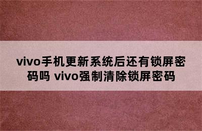 vivo手机更新系统后还有锁屏密码吗 vivo强制清除锁屏密码